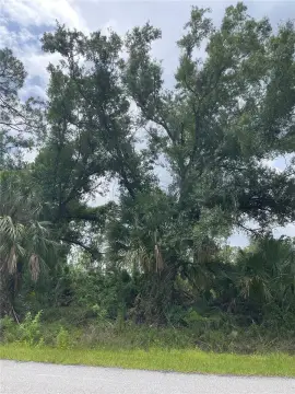 Vacant Lot Near Amenities