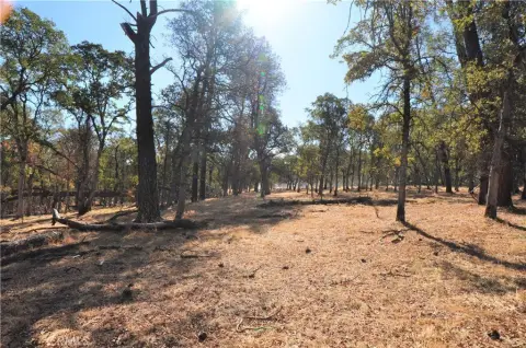 Expansive Land Parcel in Bangor