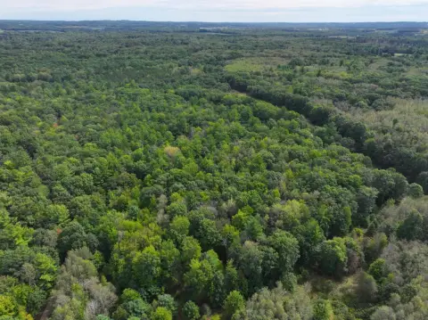 Hunting Land Bordering National Forest