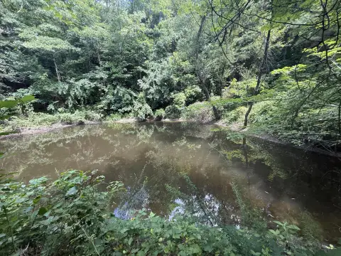 Mostly Wooded Recreation Land