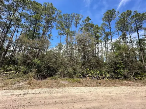Wooded Lot in Interlachen Lakes