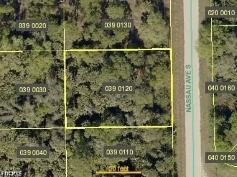 Lehigh Acres Land Opportunity