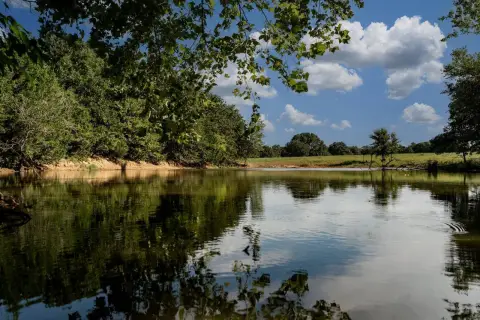 Ranch with Mature Timber and Ponds