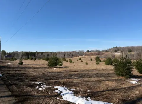 Wolcott Land with Building Permit