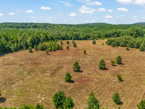 Agricultural Land with Creek