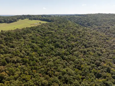95 Acres of Ozark Hunting