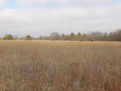 70 Acres of Country Land