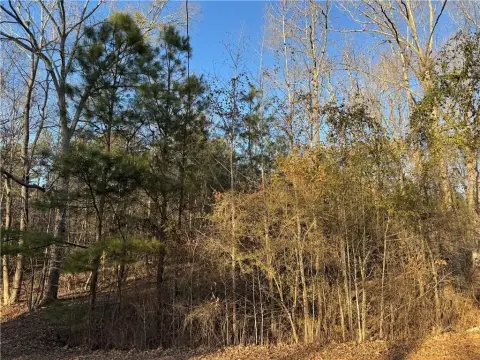 Pine Lake Community Recreational Lot