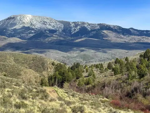 241 Acres with Walker Creek