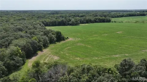 Agricultural Land with Timber