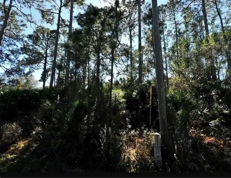 Residential Land in North Port