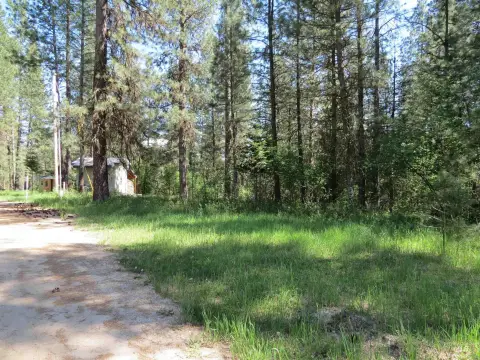 Wooded Walk-Out Home Lot