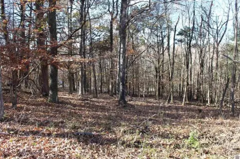 Waterfront Lake-View Land Lot