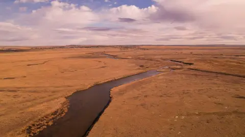 Montana Farm and Ranch Land