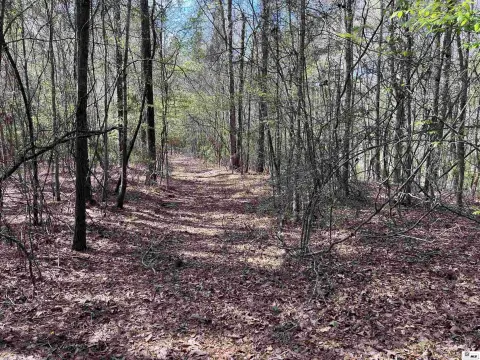 Hunting Land with Development Potential