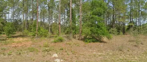 Residential Lot in Citrus Springs