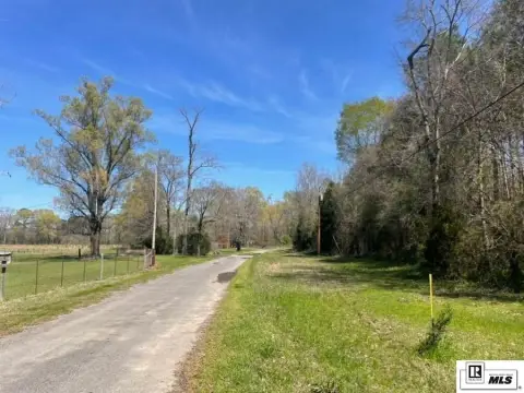 Timber-Access Hunting Land