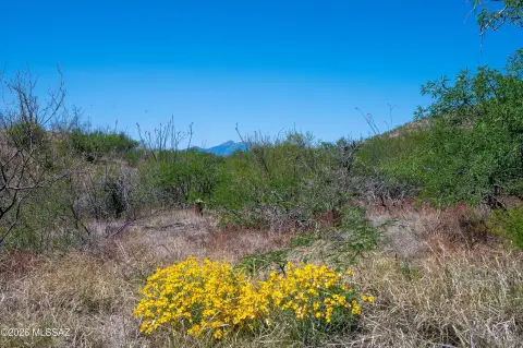 High Desert Off-Grid Ranch Land