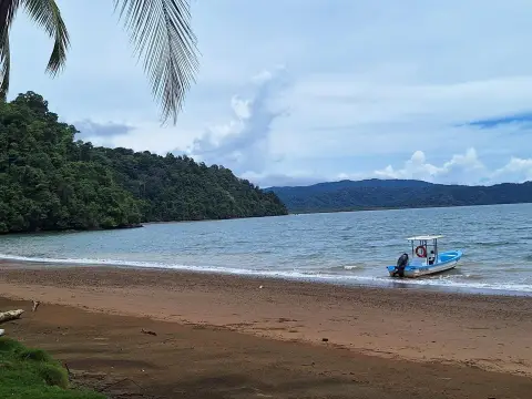 139 Acres on Golfo Dulce