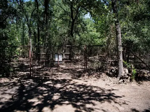 24 Acres Wooded Land