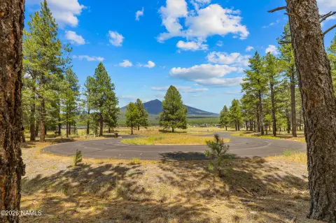 Level Cul-de-Sac Homesite
