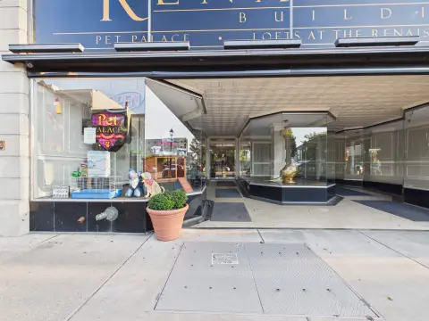 Pet Retail Storefront