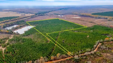 East Texas Land with Lake Access