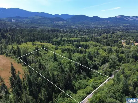 Port Angeles Treed Land Parcel