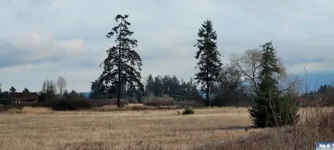 Sequim Land with Development Potential