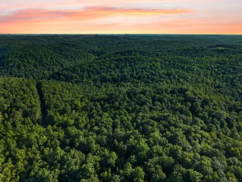 Hunting Land Adjacent to Forest
