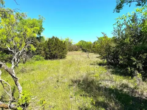 50 Acres of Texas Countryside