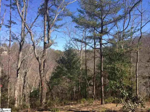 Mountain View Homesite in Gated Community