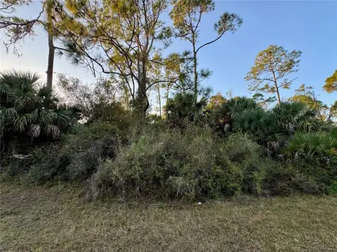 Vacant Land Greenbelt Lot