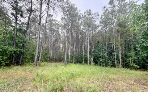 Highway-Visible Commercial Land