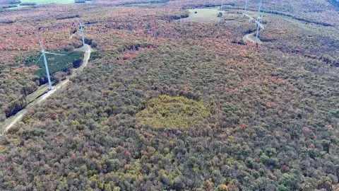 160 Acres of Wooded Land