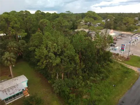 Prime Mixed-Use Steinhatchee Lot