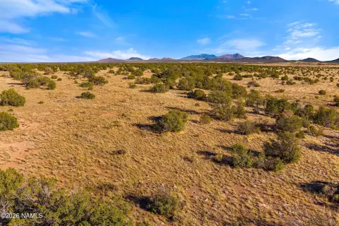 Heavily Treed Residential Land Parcel