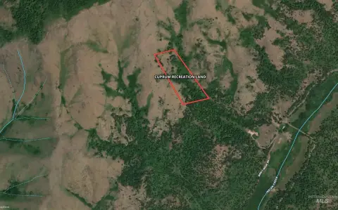 Mining Land Near National Forest