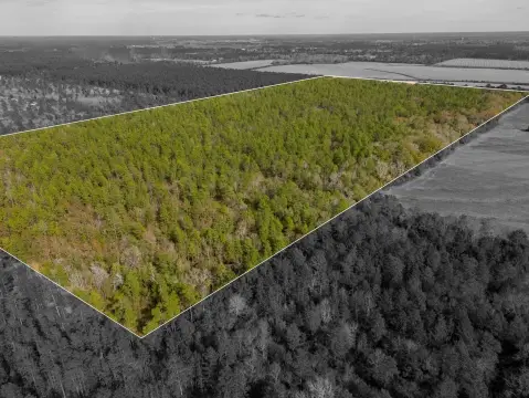 Wooded Agricultural Land