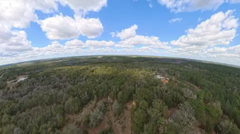 Untouched Land in DeFuniak Springs