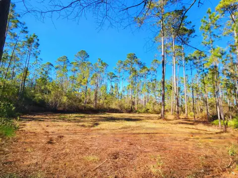 40 Acres of Natural Paradise