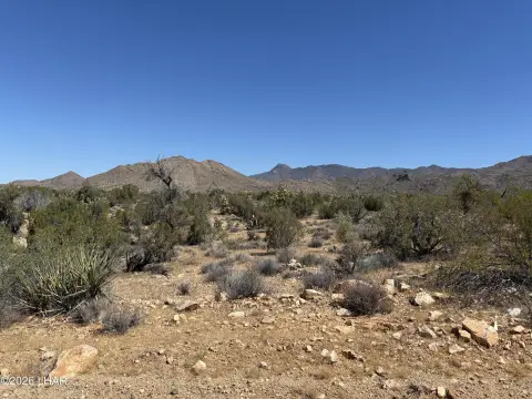 39 Acres of Desert Land