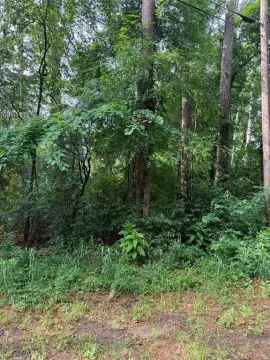 Residential Vacant Lot Near Lake