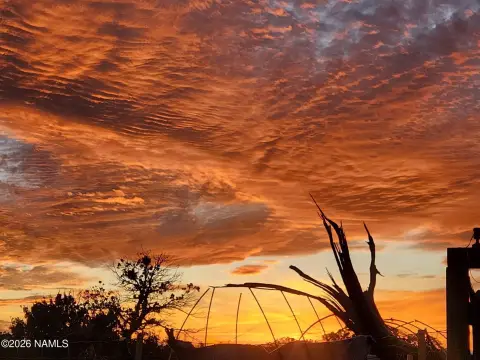 Williams, AZ Land with Views