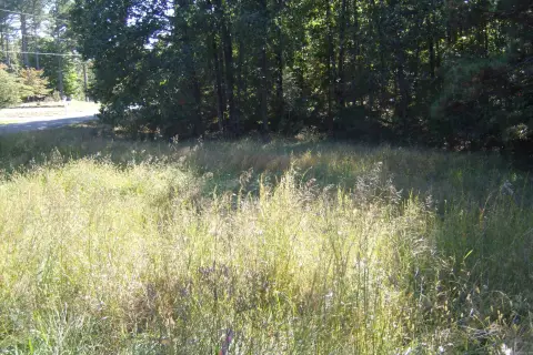 Heber Springs Corner Subdivision Lot