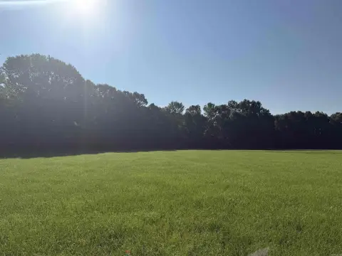 Cattle and Hay Farming Land