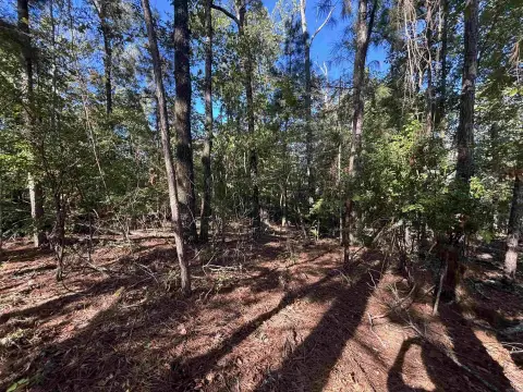 Residential Lot in Sheridan, AR