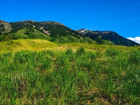 Inkom, ID View Lot