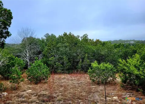 Hill Country Land Near Canyon Lake