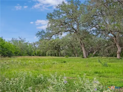 Meyersville Acreage with Development Potential